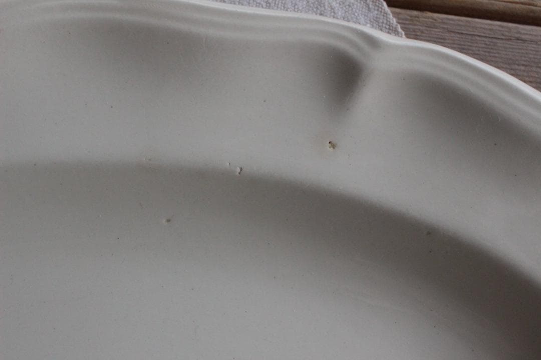 【B】サルグミンヌ・ 花リムラヴィエプレート/フランスアンティーク