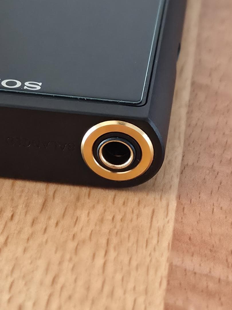 SONY ウォークマン NW-ZX507　専用レザーケース＋おまけ付き