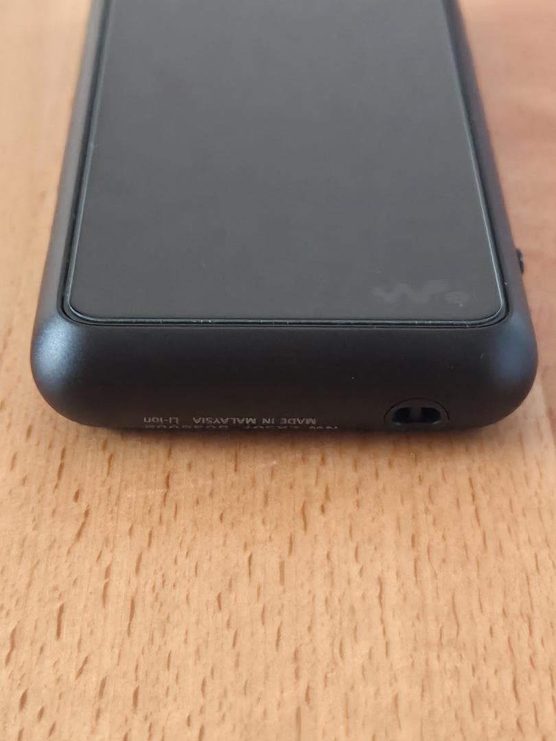 SONY ウォークマン NW-ZX507　専用レザーケース＋おまけ付き