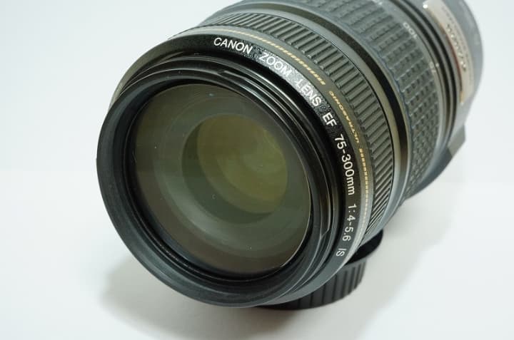 手振れ付 望遠 ◆ EF75-300mm F4-5.6 IS USM