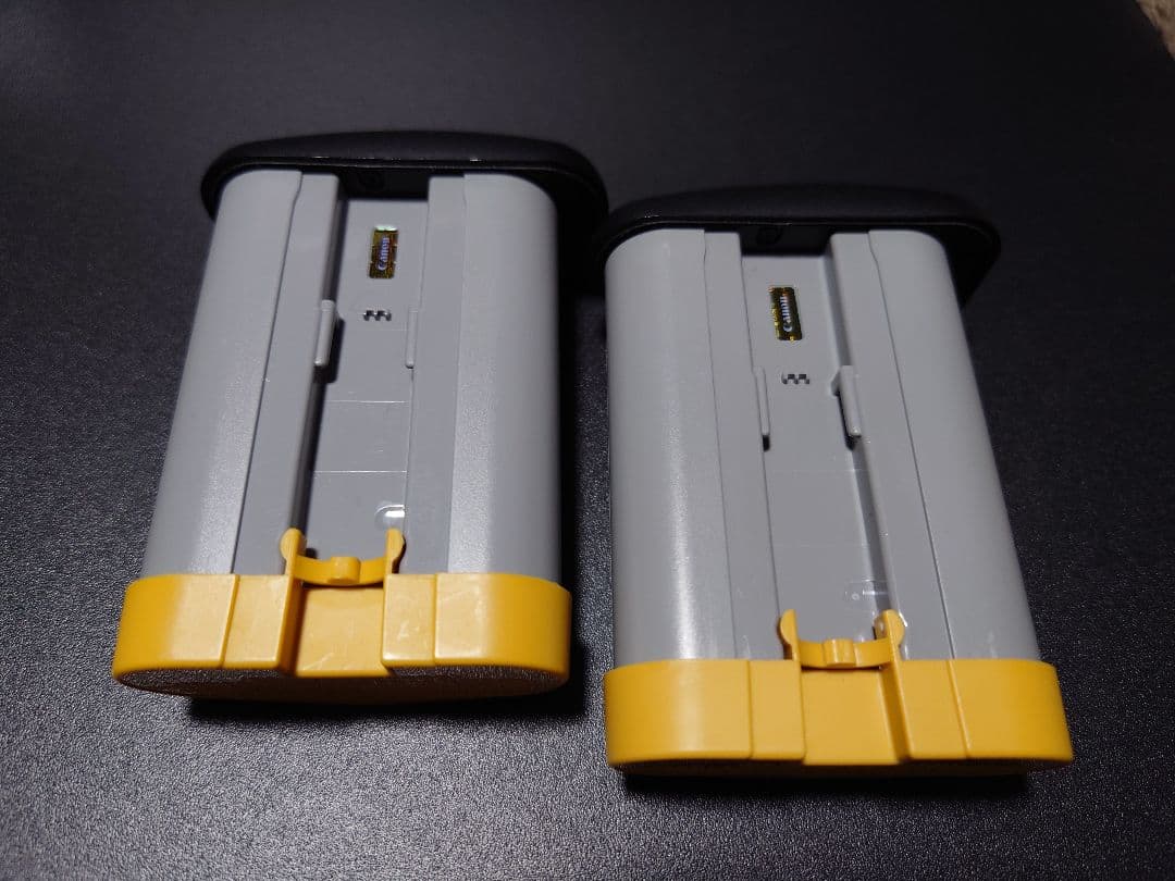 【極上美品】Canon EOS R1