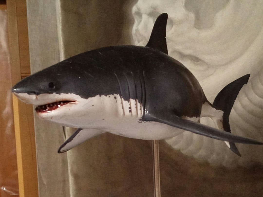 サメ　模型　ホホジロザメ　超絶モデル