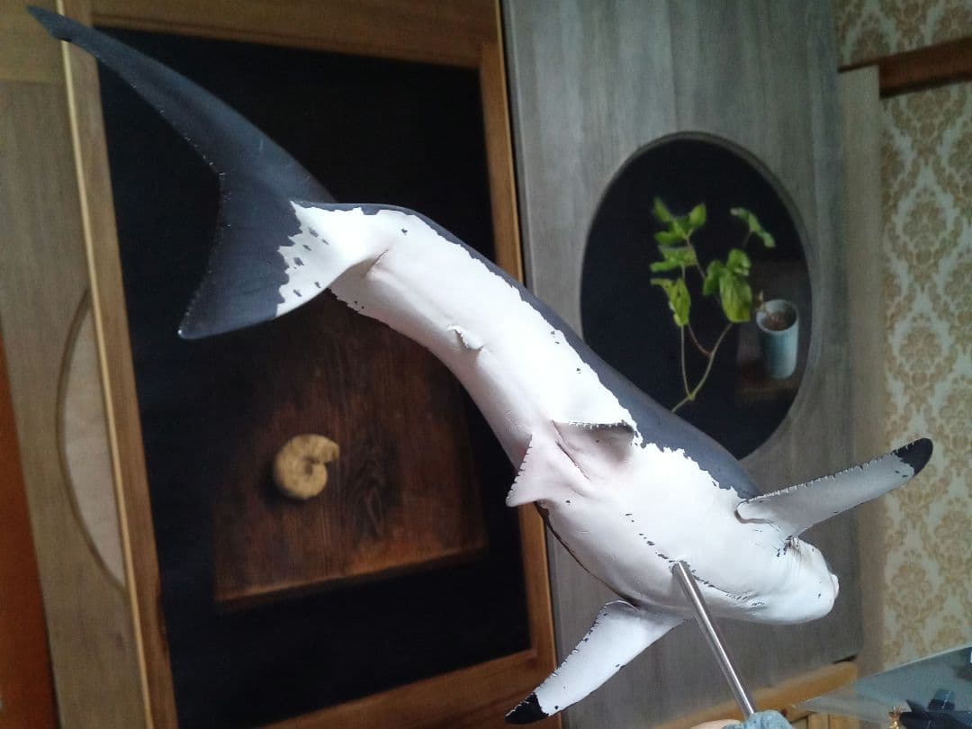 サメ　模型　ホホジロザメ　超絶モデル