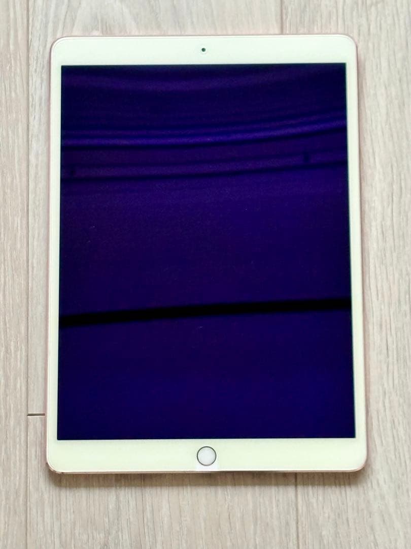 美品 iPad Pro 10.5インチ 256GB A1701 第二世代