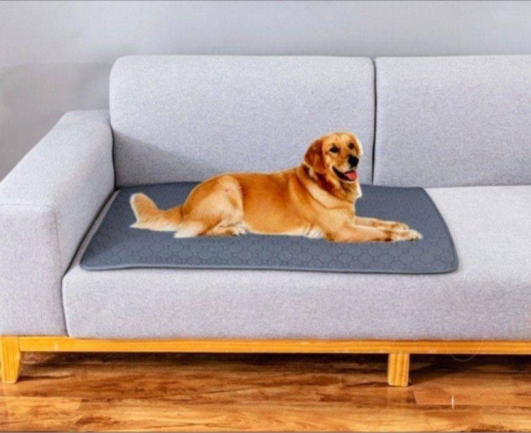 ペットシーツ シート トイレ おしっこマット 犬猫　 洗える　2枚　ベージュ