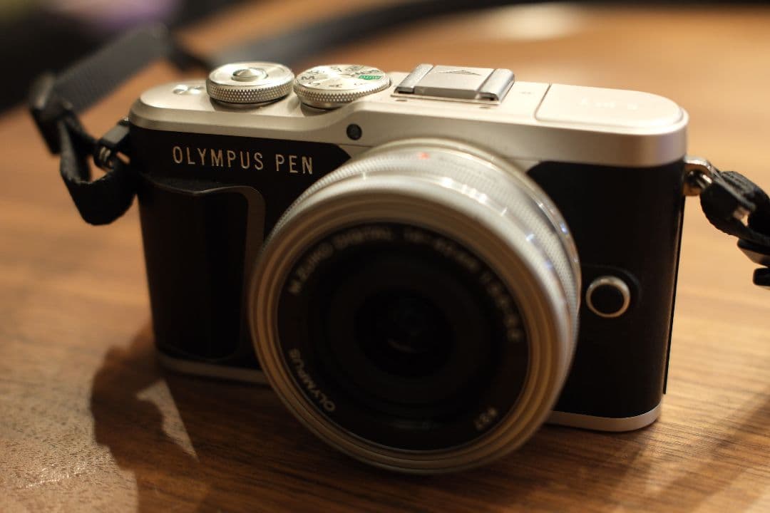 【ジャンク】OLYMPUS E- PL9