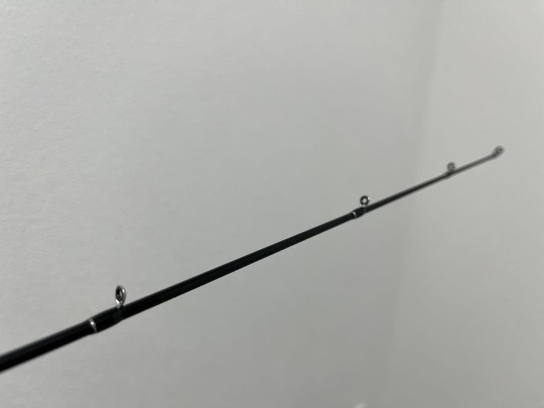 PALMS エゲリア ETVC-46XUL