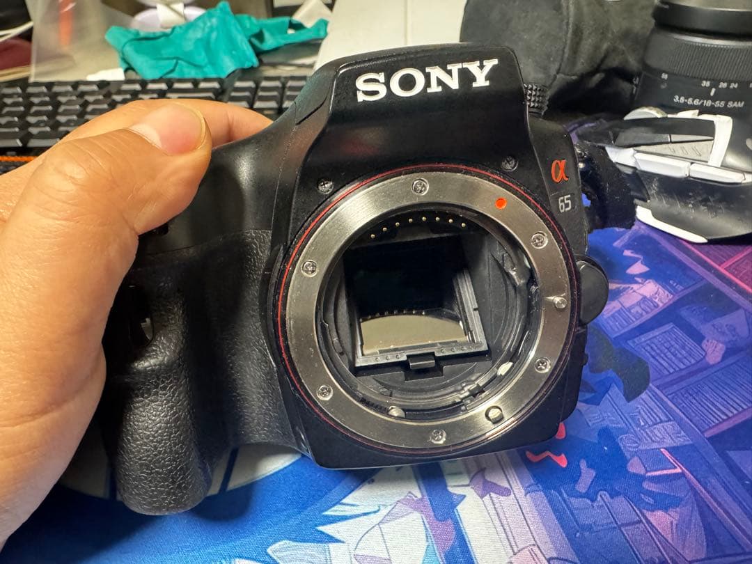 SONY α65 デジタル一眼レフカメラセット