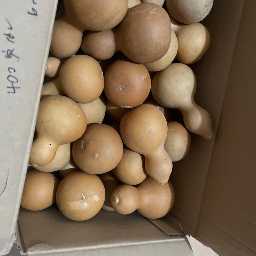 Toto★ひょうたん　瓢箪　千成瓢箪　まとめ売り　無病息災　置物　縁起物