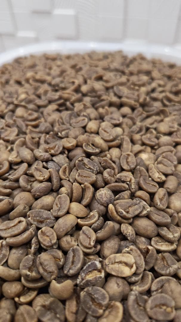 【コーヒー生豆 7.5kg 】カフェインレス　ホンジュラス　(有機栽培)