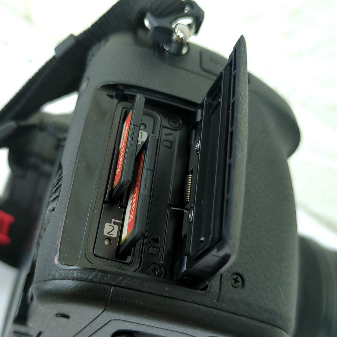 パナソニック ミラーレス一眼カメラ ルミックス GH5M2 レンズキット 高倍率