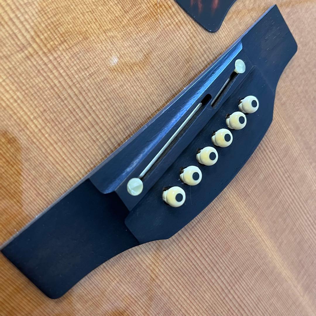 Takamine DMP50S アコースティックギター