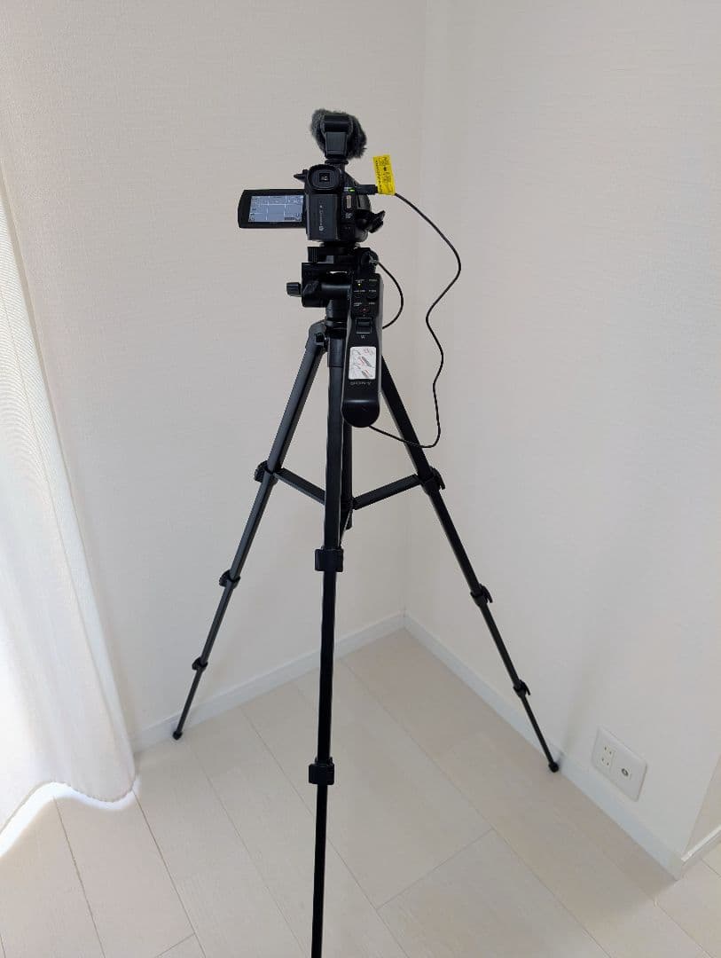 【美品中古】SONY FDR-AX55【装備品多数付属】【値下げました】