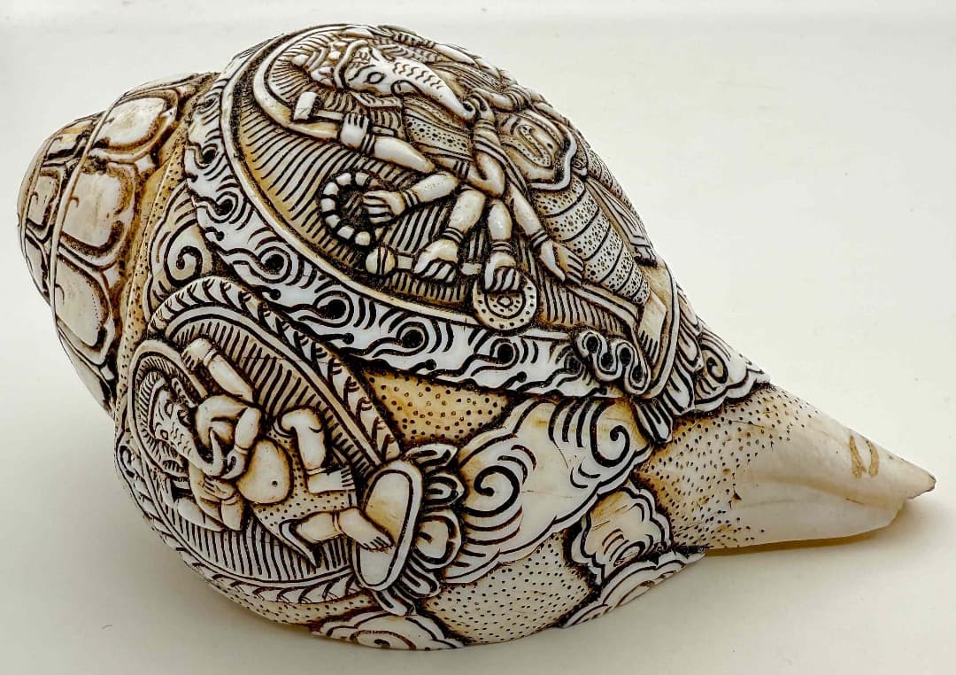 ◆チベット密教法具　法螺貝（シャンカ）ーガネーシャ-3