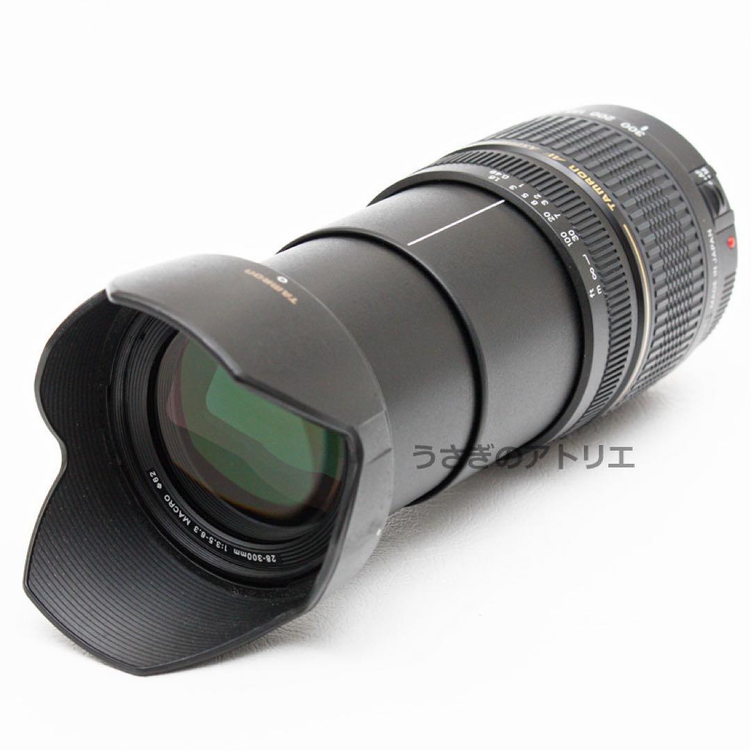 キヤノン用28-300mmズームレンズ⭐️Canon⭐️EOS Kiss⭐️広角〜望遠