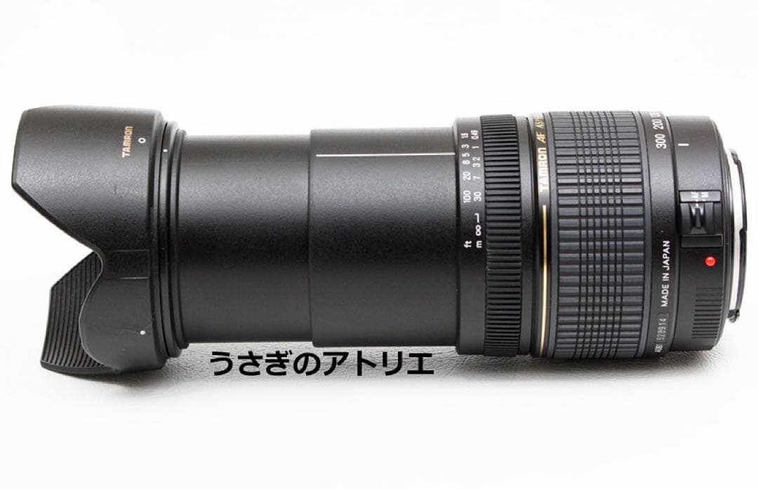 キヤノン用28-300mmズームレンズ⭐️Canon⭐️EOS Kiss⭐️広角〜望遠