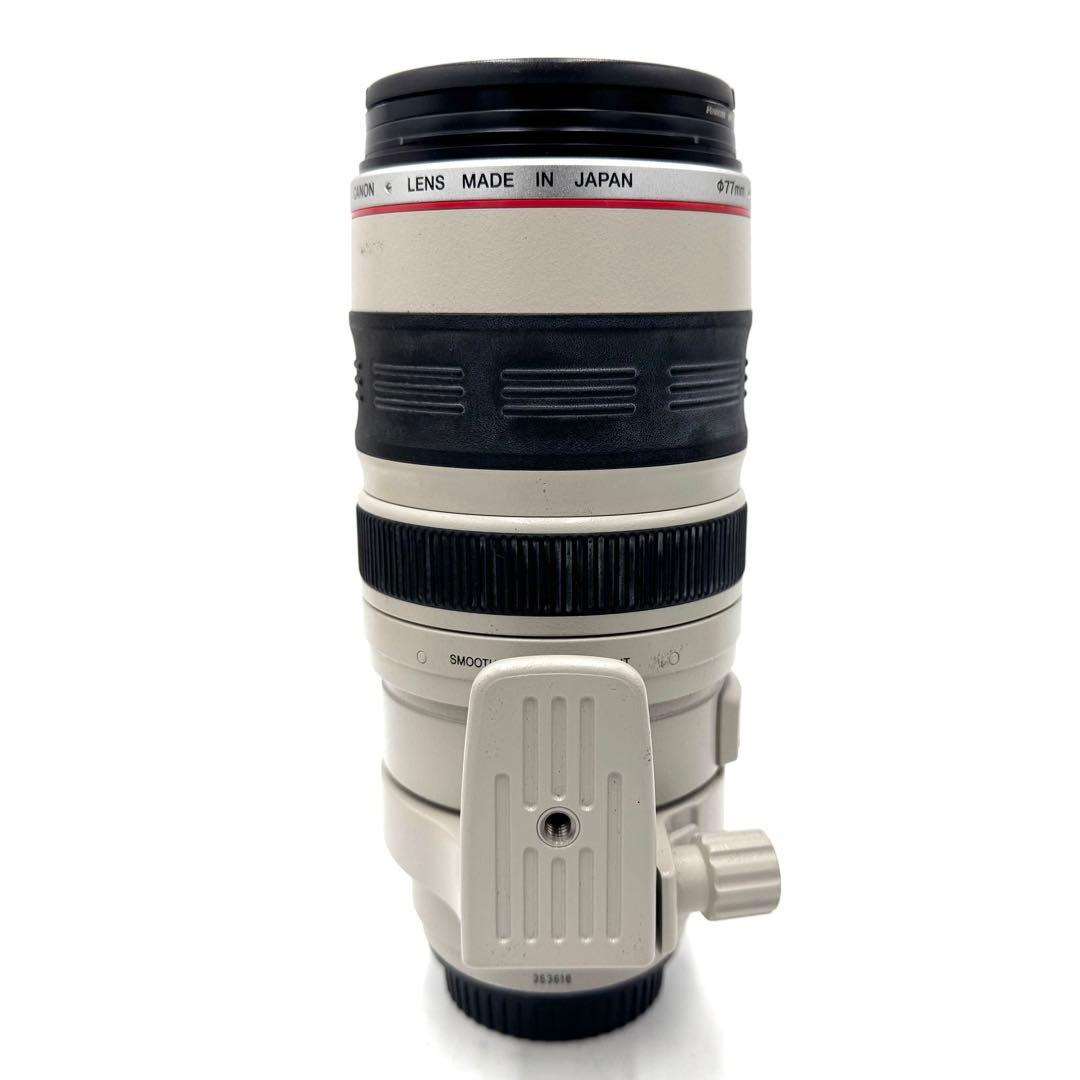 動作良好 CANON EF100-400mm F4.5-5.6L IS USM