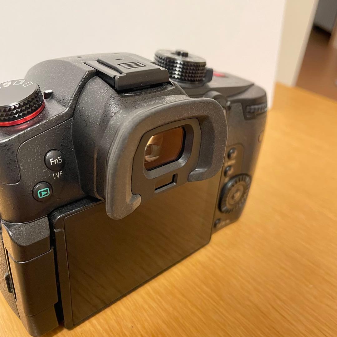 専用　　LUMIX DC-GH5S
