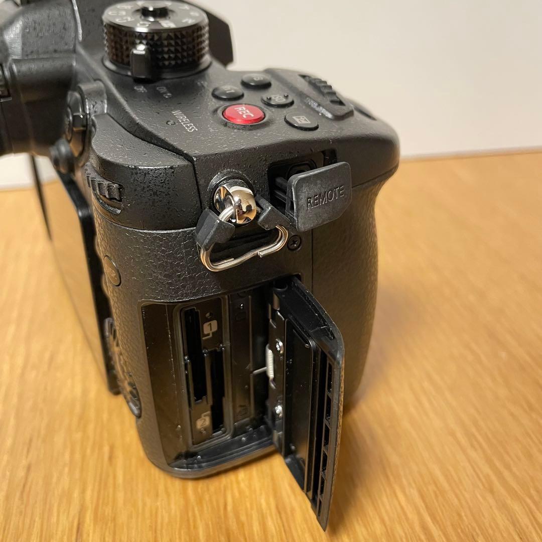 専用　　LUMIX DC-GH5S