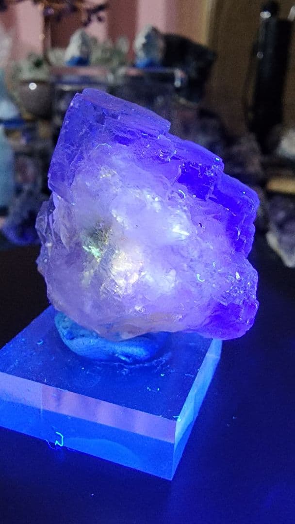 超レア☆石油フローライト●パキスタン