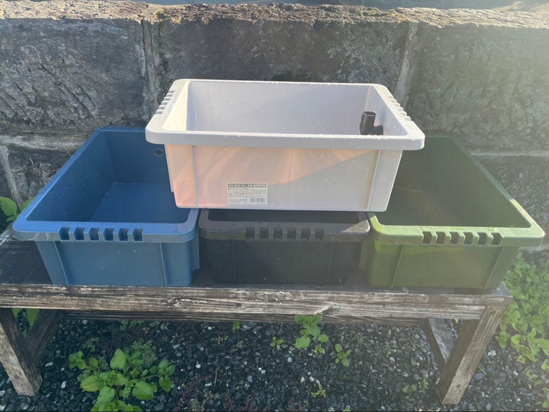 在庫限り⭐️【新品】60Lトロ舟と木枠のセット　めだか飼育ケース　ビオトープ