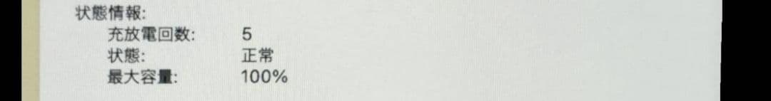 M1チップ搭載 Apple MacBook Air 本体 美品