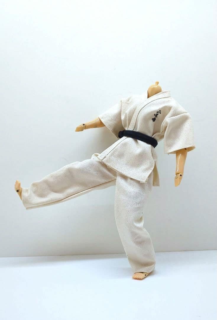 30cm可動❗おおとりゲン❣️◆ウルトラマンレオ☘️RAH✨