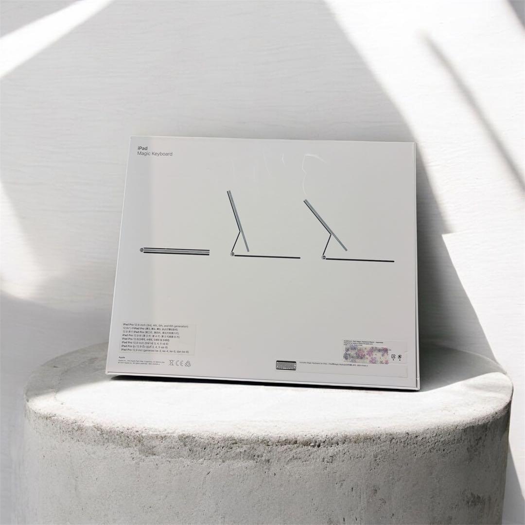 iPadPro第5世代256GB magicKeyboard pencil2世代