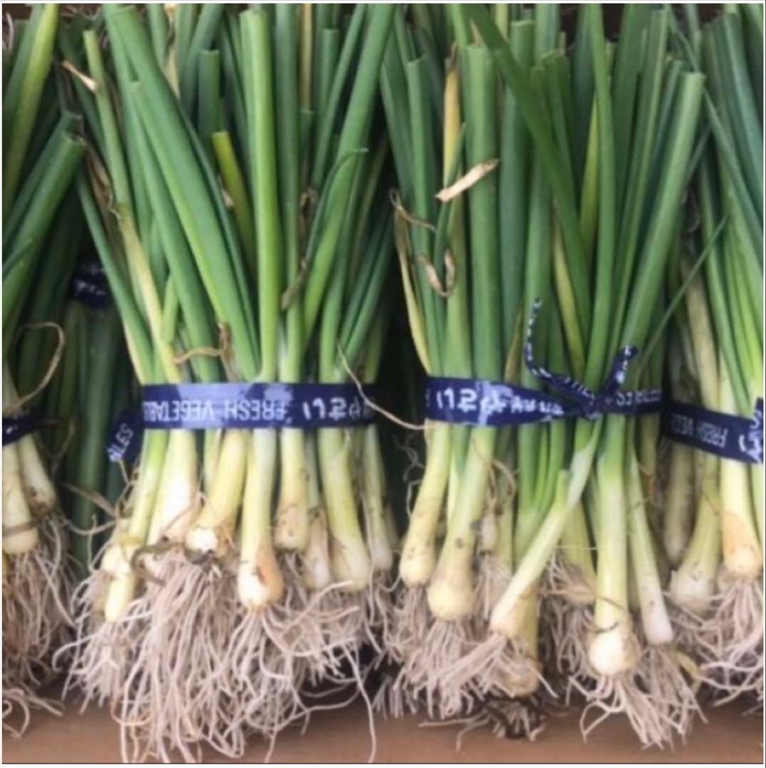 ＜もう直ぐ終了＞淡路島 玉ねぎ苗 ターザン 1,000本 たまねぎ苗 玉葱苗