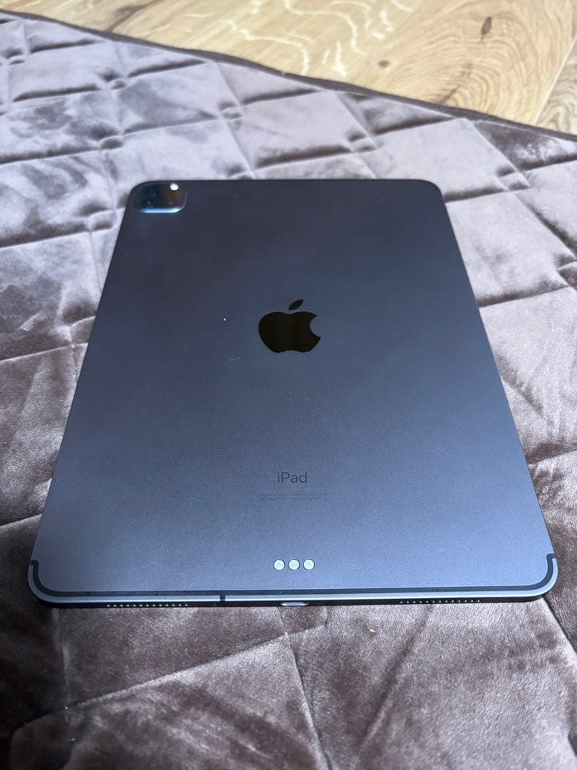 iPad Pro 11インチ 256GB SIMフリー