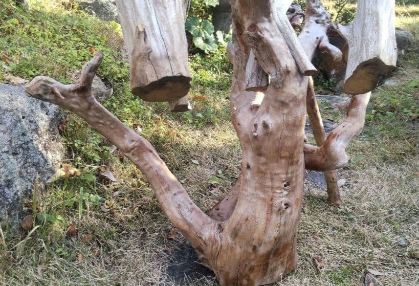 バードアスレチック　流木　インコ　鳥用止まり木