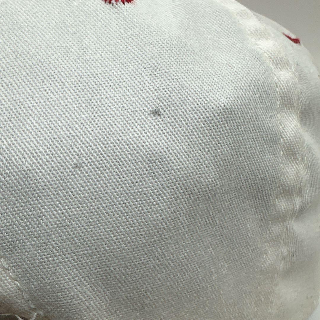 【c219】レア！企業ロゴ ヴィンテージキャップ 日本未発売　ハーゲンダッツ