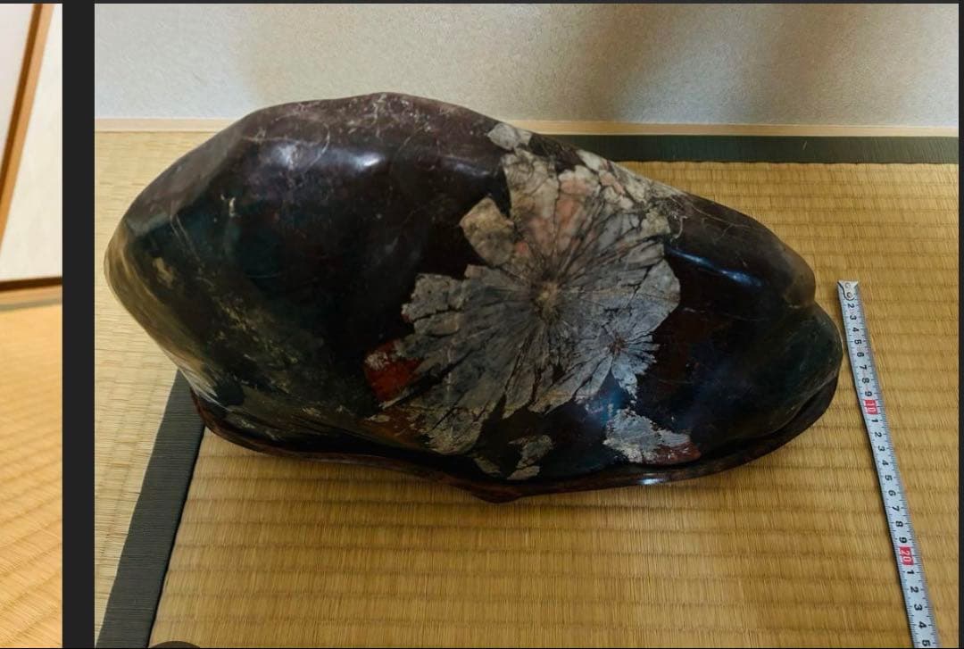 菊花石(岐阜県根尾谷)18.8㌔(台座含む)