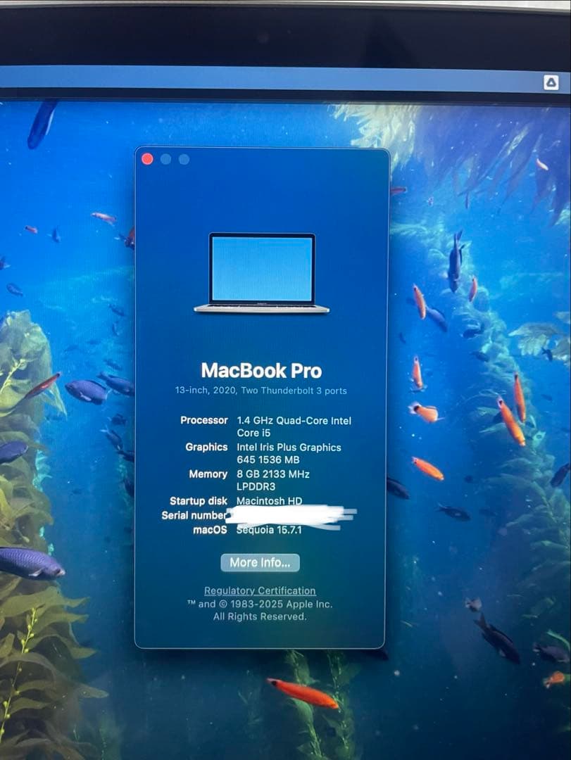 Apple MacBook Pro 13インチ (2020) 本体のみ