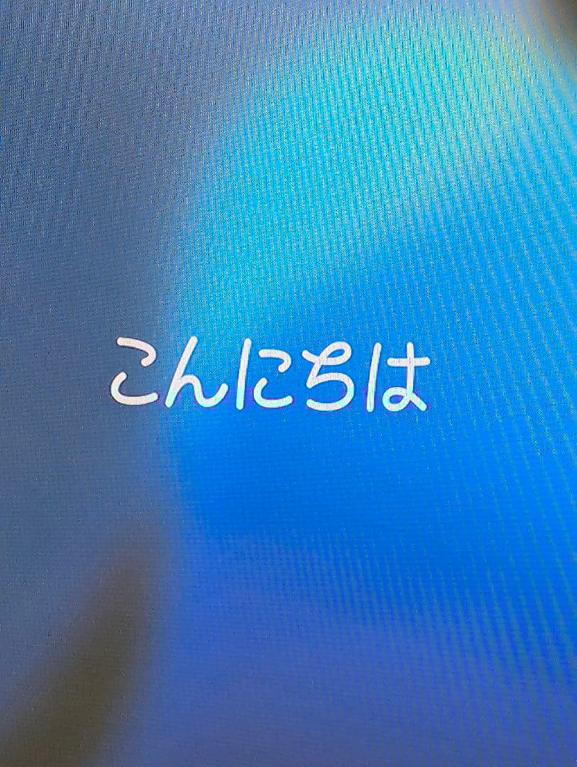 ミ*ト様 Apple iPad Pro 11インチ (第2世代) 256GB W