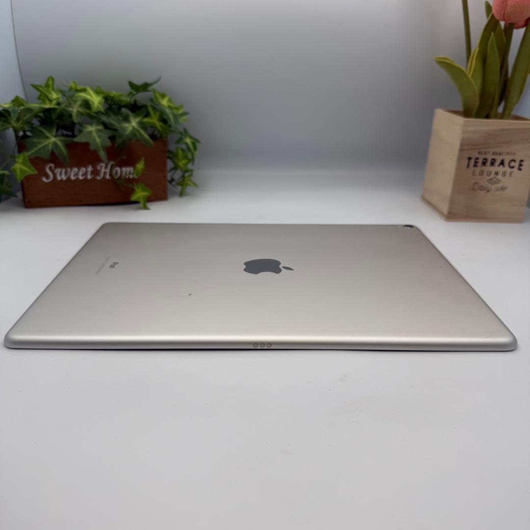 Apple iPad Pro 第2世代 12.9inch Wi-fi 64GB