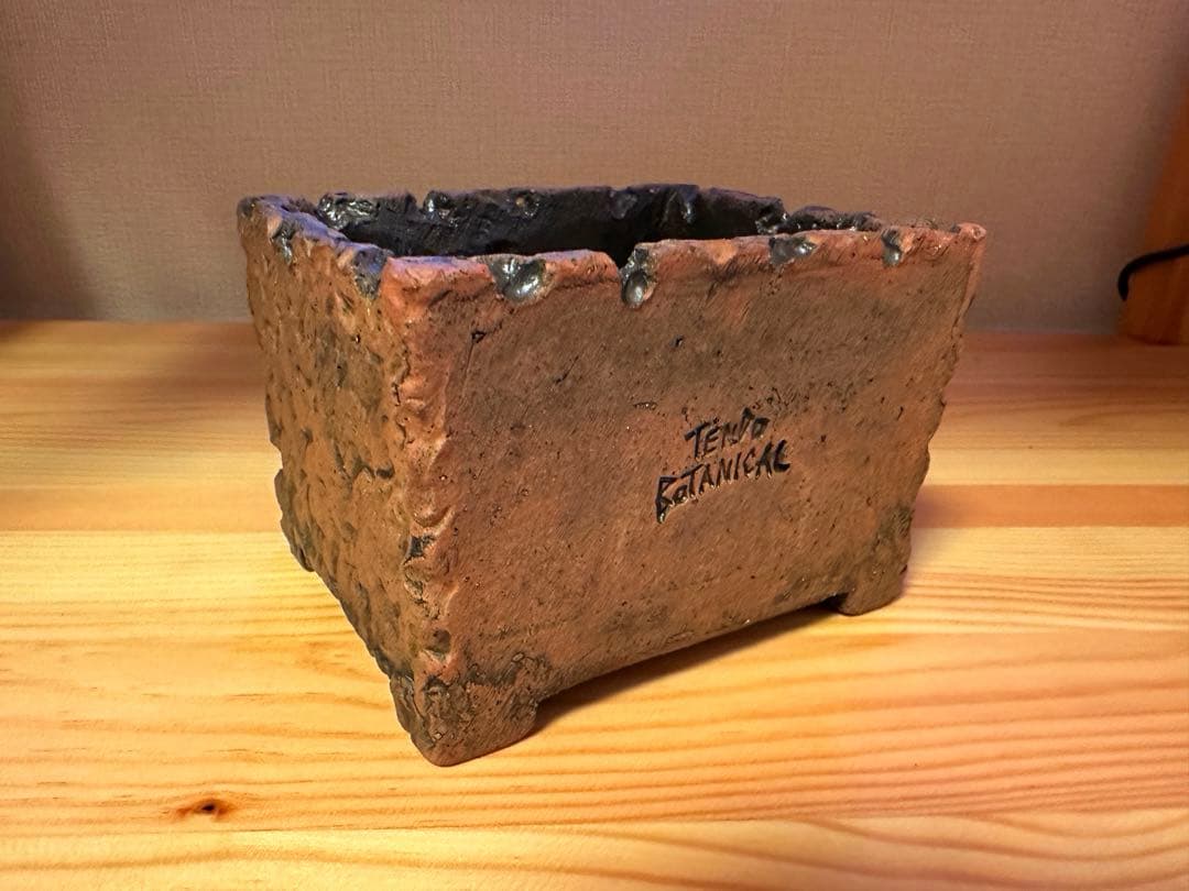 【新品】tendo botanical 鬼鉢&鬼ん形 var. BBサイクロプス