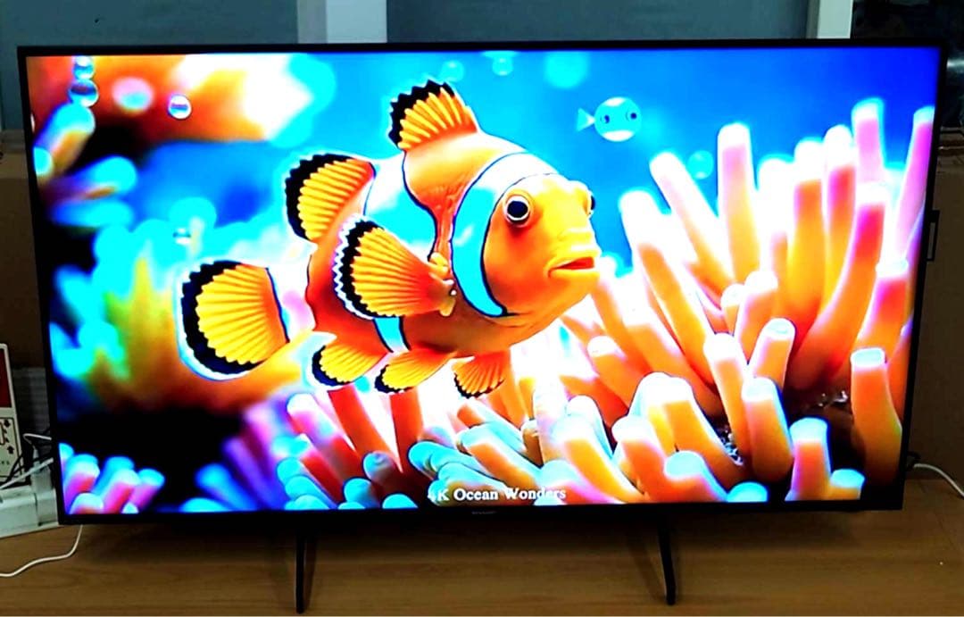 シャープ アクオス 50インチ 4K液晶テレビ 4T-C50FL1 2025製