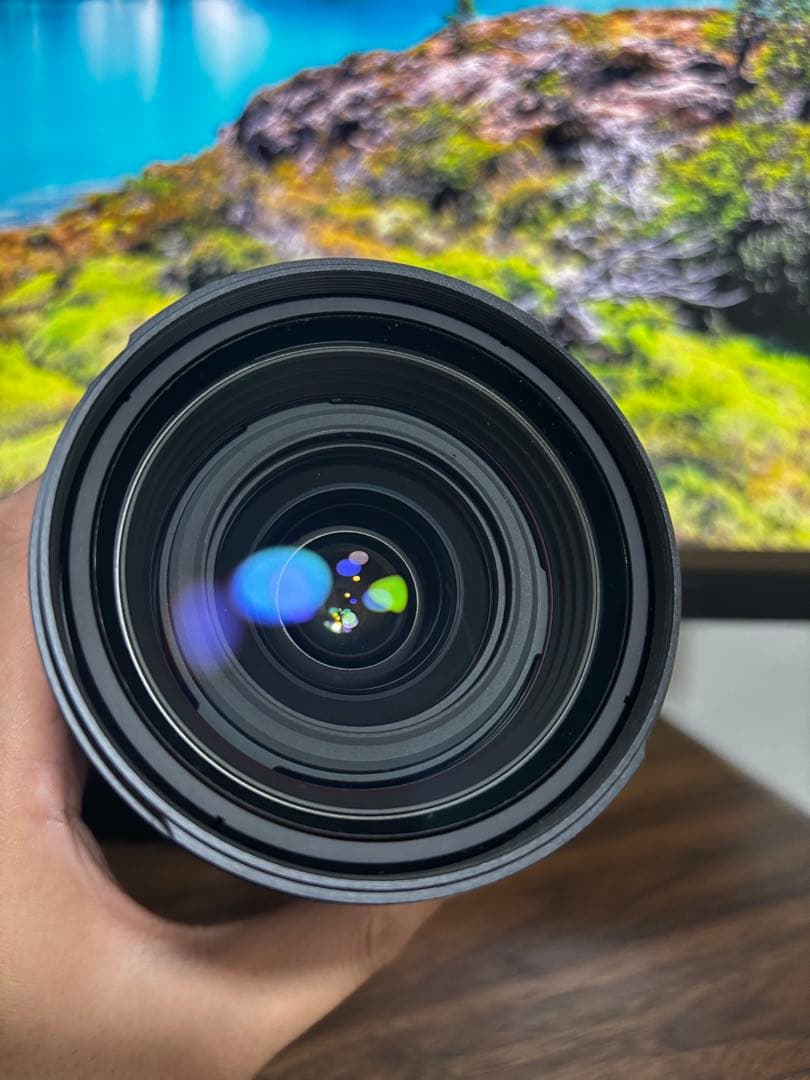 じ*た様 Sony Vario- Sonnar 24-70mm f2.8 Aマウ