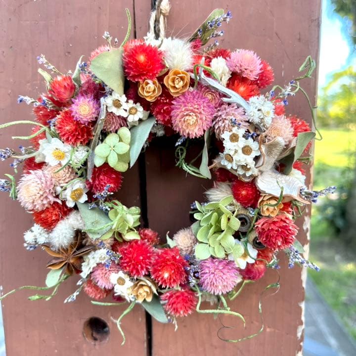 千日紅　いちご畑リース