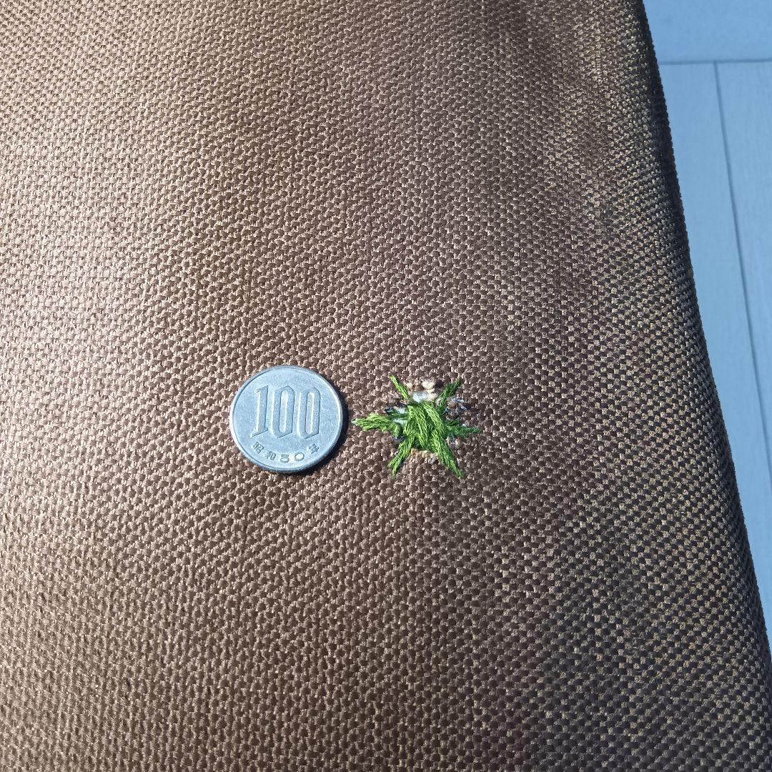 【D】旭川家具　カンディハウス　CondeHouse　ダイニングチェア