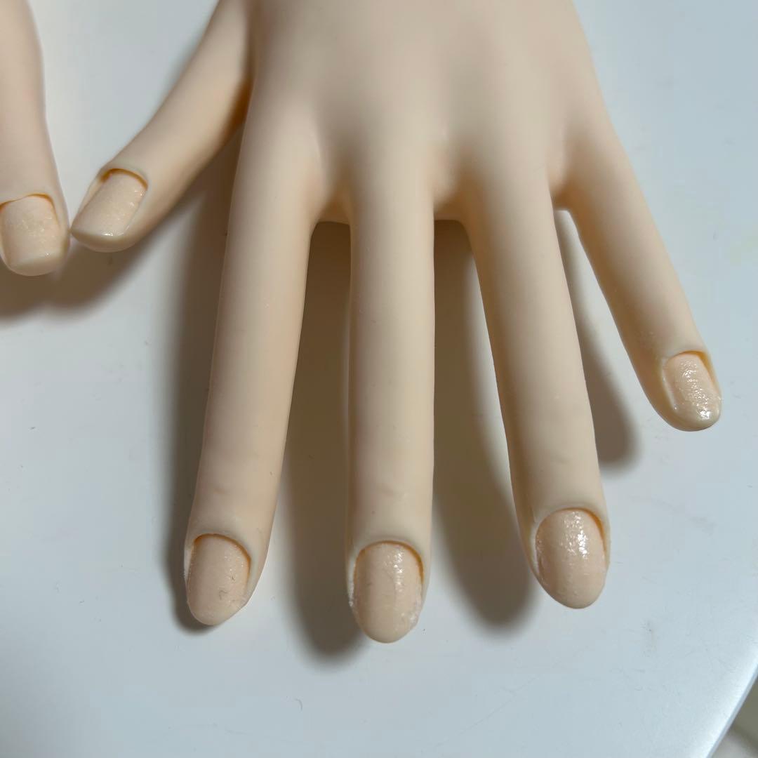 ネイリスト技能検定試験モデルハンド JNEC認定モデルハンド(両手)骨折なし