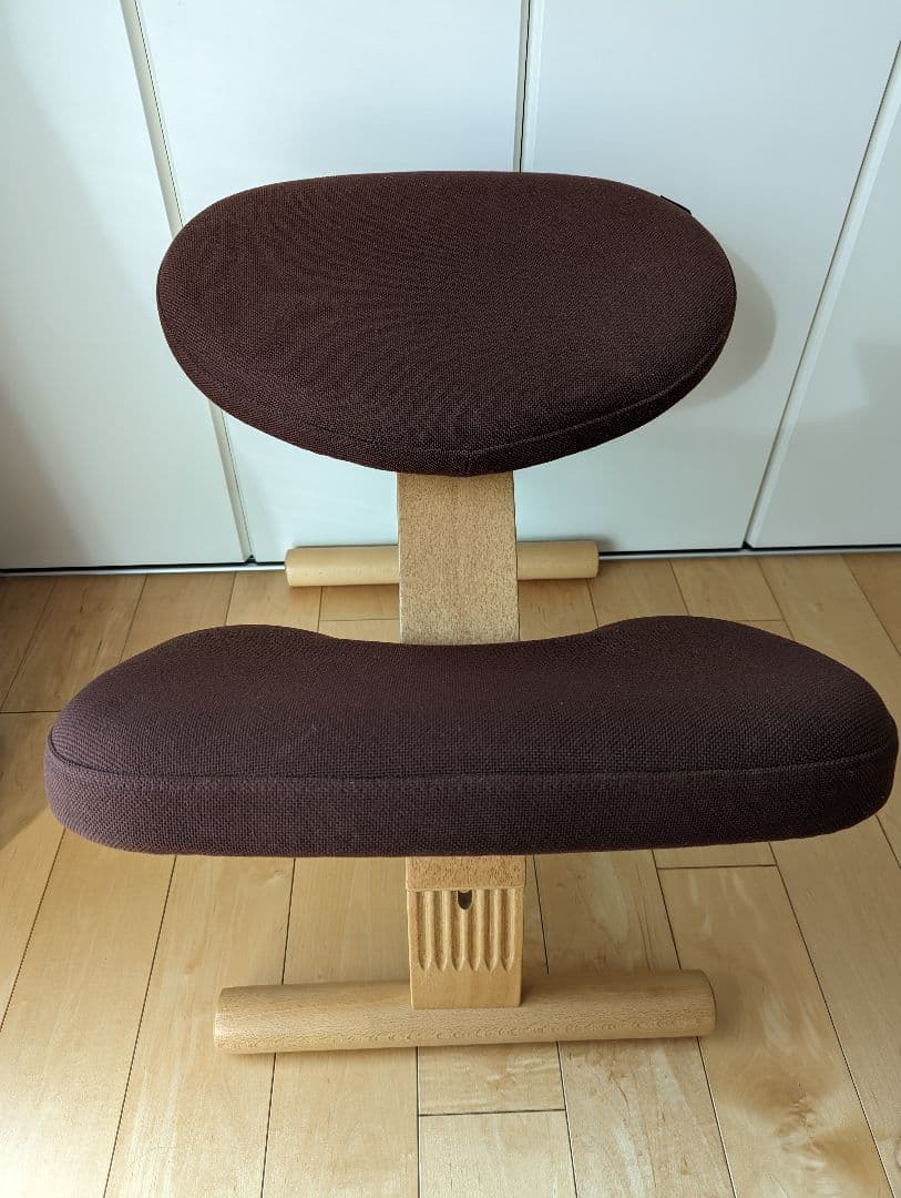 サカモトハウス　バランスイージーチェア　専用カバー付