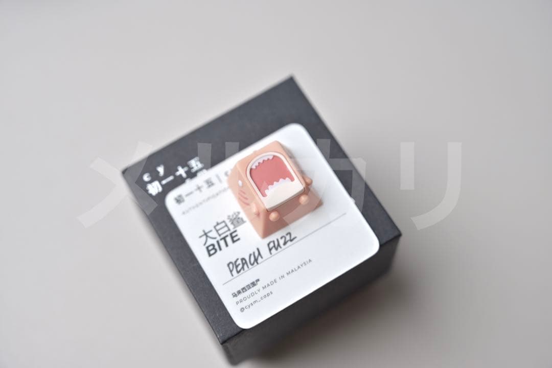 CYSM 初一十五 BITE 3set