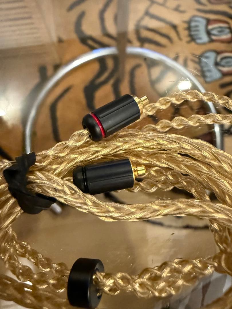 アコースチューンHS1670SS ノブナガ　ケーブル　TYPE-C切り替え付き