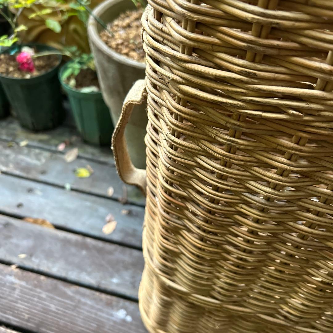 稀少ヴィンテージドイツ/スイス 籐バスケット/バスケットケース　枝飾り付き