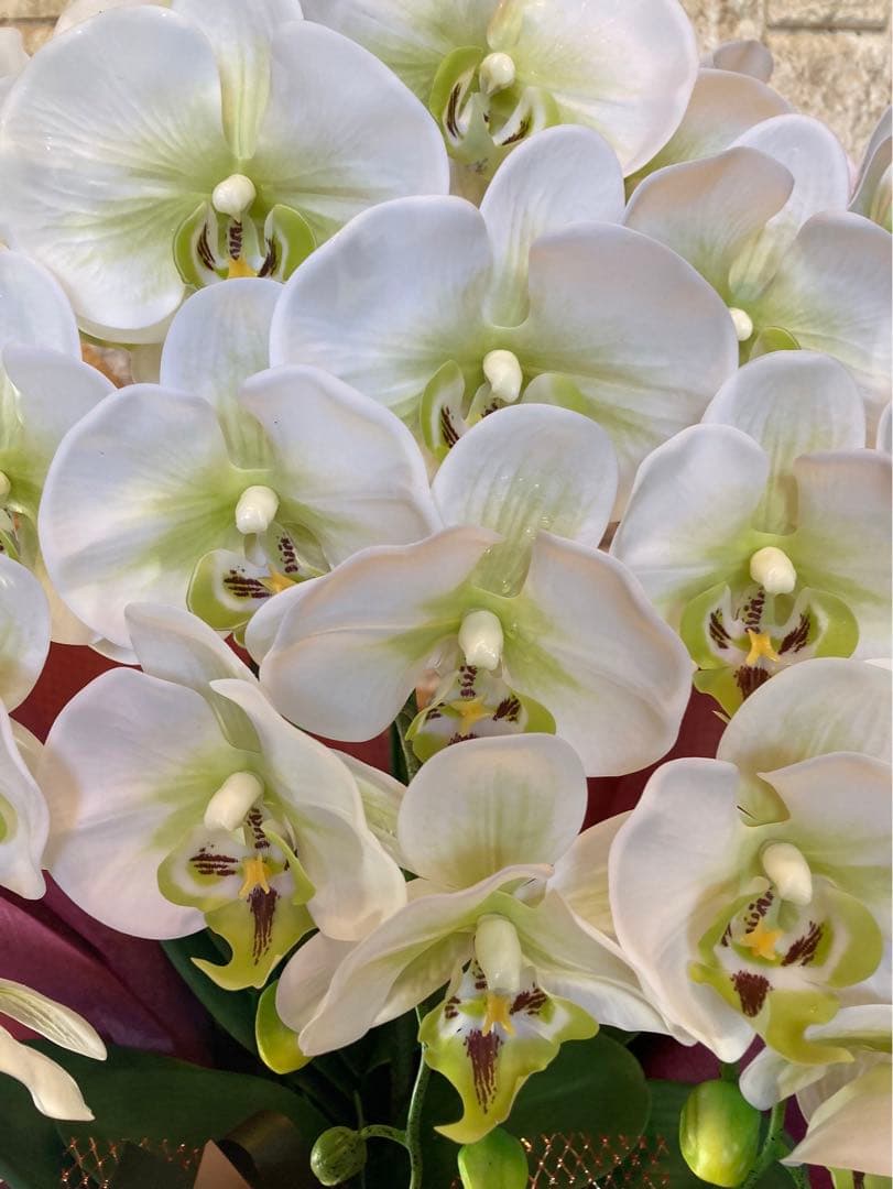 光触媒　人工観葉植物　ウォールグリーン　フェイク　フラワー　リアル胡蝶蘭wg