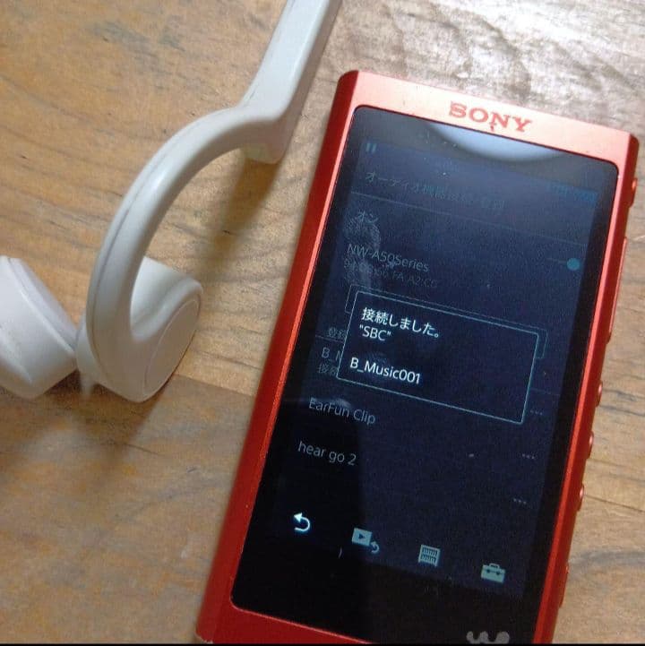 苺*福様 SONYウォークマン　NW-A55