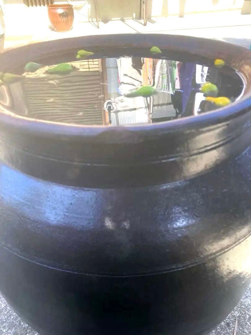 【古美術】趣のある黒茶褐色の陶器のカメ59センチ