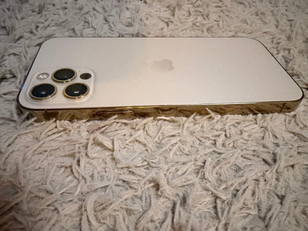 Apple iPhone 12 Pro シルバー 256GB 本体